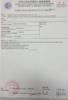 cv
