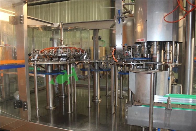 Stainless Steel CK-10G Water Aquarium Ozone Generator Price For Water Purifier