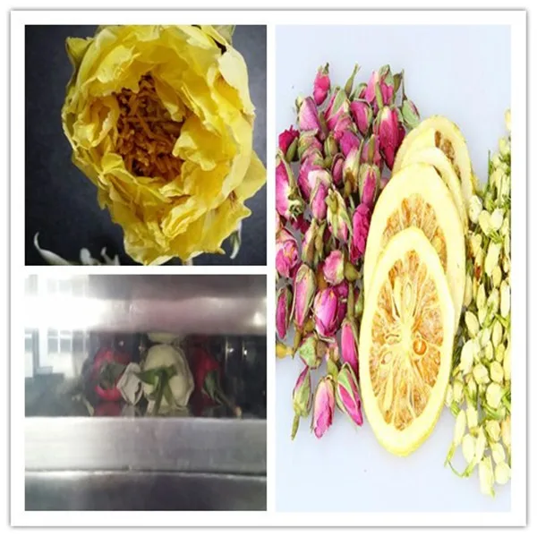 Flower freeze dryer.jpg