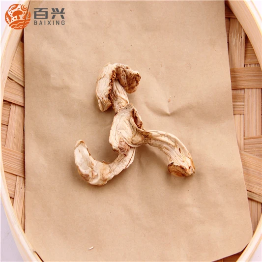 
Sell Fresh Matsutake Mushroom Sliced 
