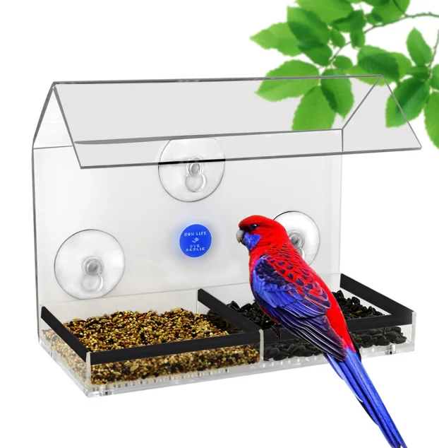 Acrylic Squirrel Proof Window Bird Feeder Buy Window Bird Feeder