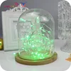USB Powered 5M 50LEDs USB Sliver Wire String Fairy Lights Xmas Remote Control