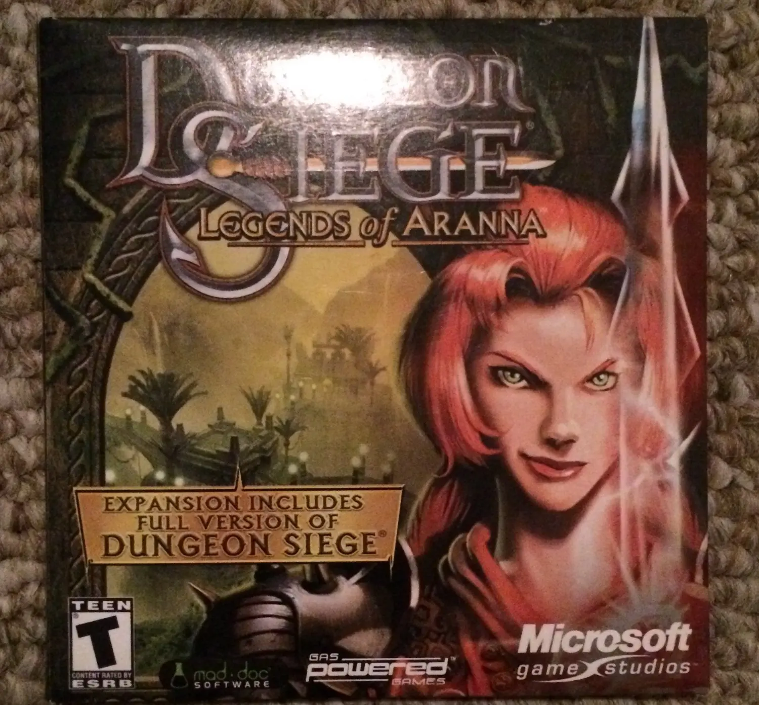 Dungeon siege aranna steam фото 56