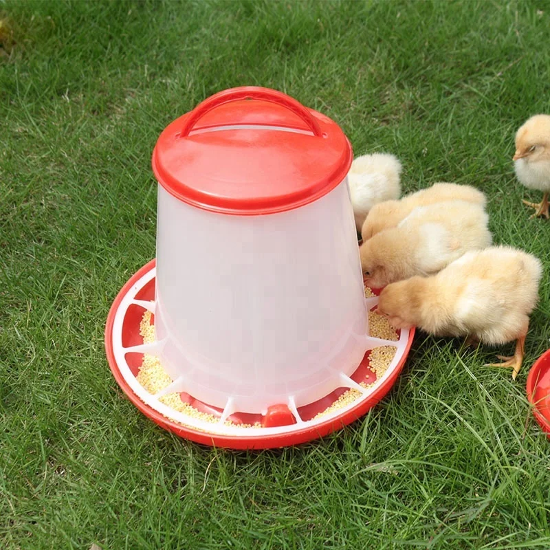 Кормушки и поилки для цыплят. Поилки для цыплят бройлеров. Poultry Feeder. Кормушка для цыплят. Поильники и кормушки для цыплят.