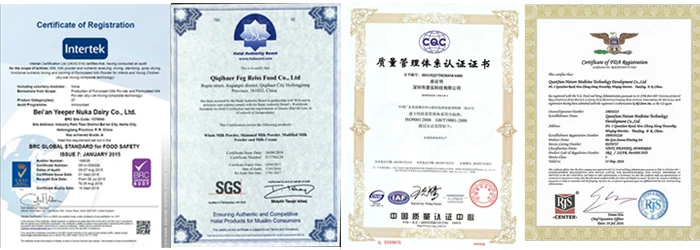certification.jpg