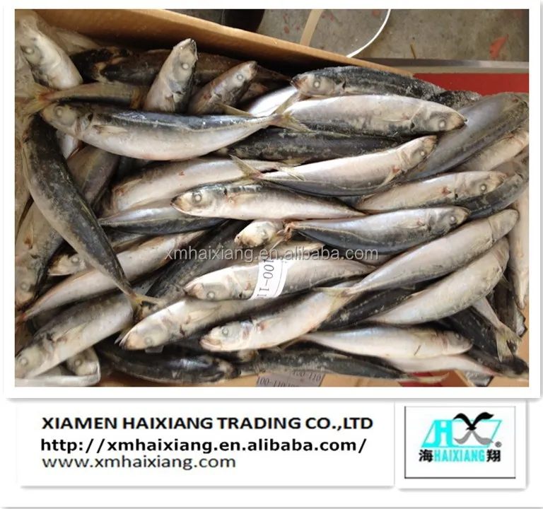 sardines-04.jpg