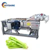high capacity 800kg per hour fruit cleaning machine air bubble washing