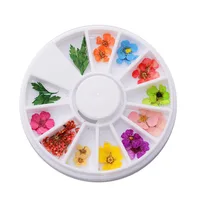 

2019 new round case nail dry flower decals sticker for nail with different designs