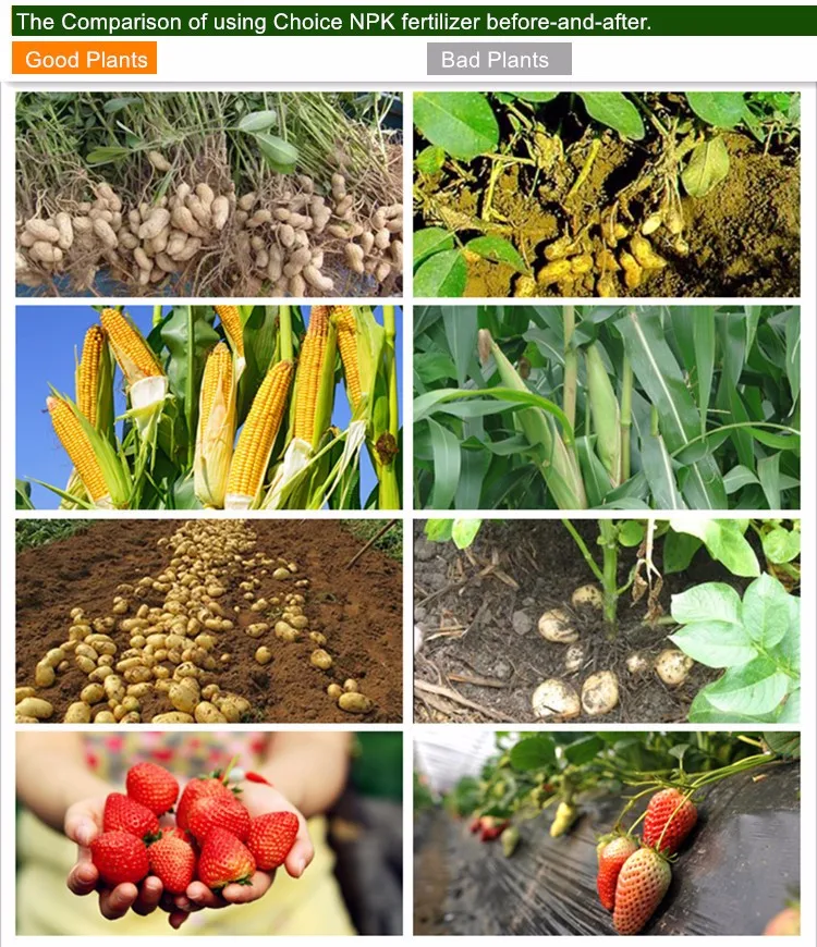 Compound NPK Fertilizer, China supplier for NPK Fertilizer, NPK Fertilizer Prices