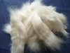 Combed Chinese Sheep Wool Open Tops for woolen spinning