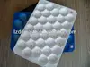 Plastic Fruit Insert
