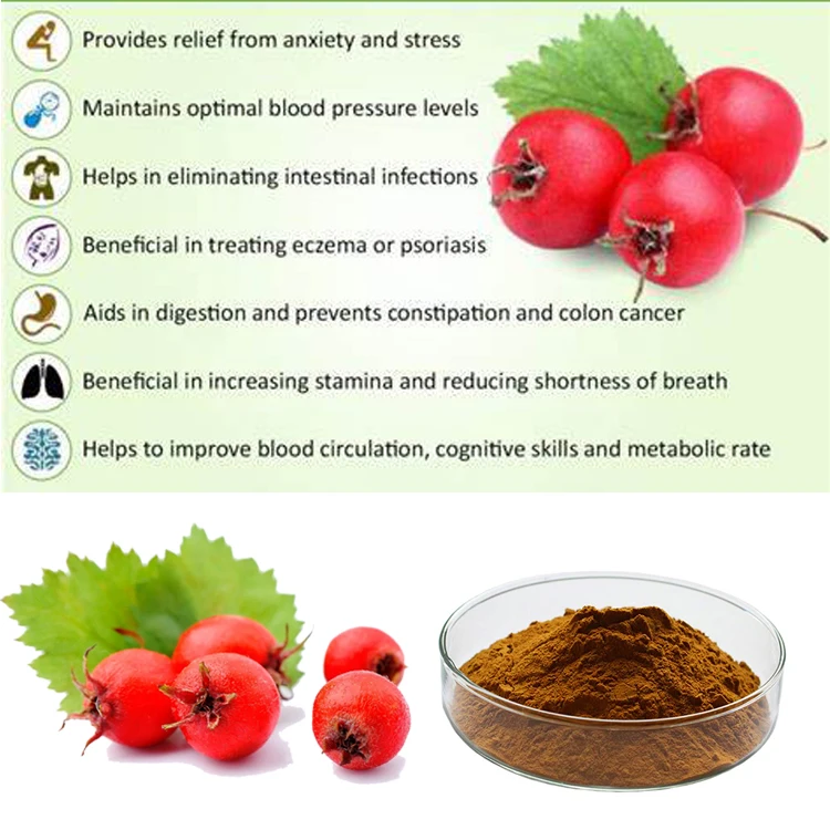 Hongda Factory Supply Hawthorn Berry Powder Hawthorn Berry Extract