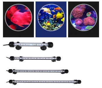 submersible led lights