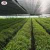 plastic agricultural shade net roll sun netting shade