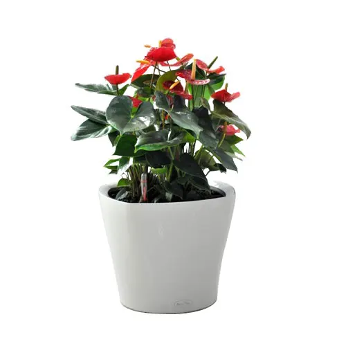 Clay Flower Pot Price Buy Clay Flower Pot Price,Clay Flower Pot Price