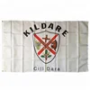 Irish State County 3x5ft Large Digital Printing County Kildare Flag