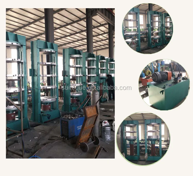 Rubber Capsule Vulcanizing Machine