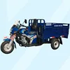 OEM Truck Trailer/CNG Auto Rickshaw/Electric Scooter/Motorized Tricycle China Factory
