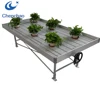 metal Large multi span greenhouse benches