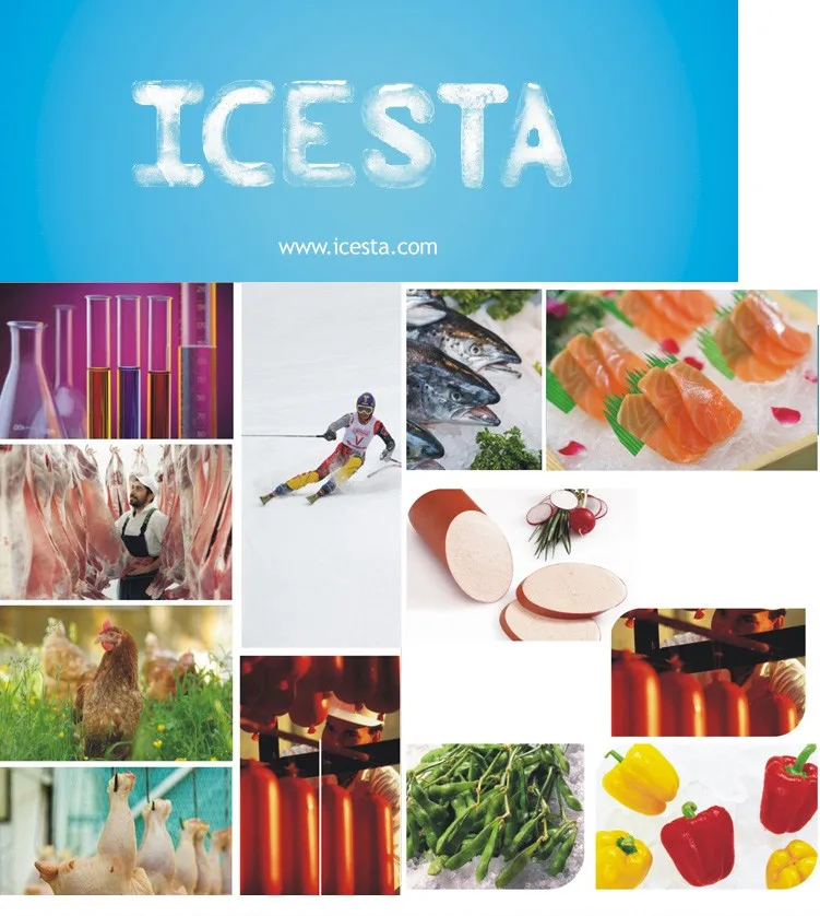 ICESTA CE aprobado automáticamente la máquina de hielo de la máquina de hielo del evaporador de amoníaco de la planta de hielo