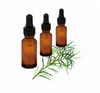Natural tea tree oil in essential oil price bulk