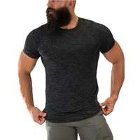 

Casual Sports Fitness Clothing Short Sleeve T-Shirt Quick-drying Training Wear Gym T Shirt Men