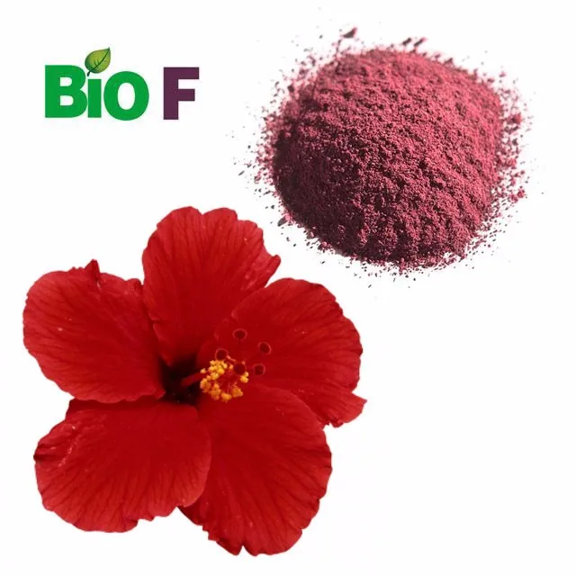 Natural Dried Hibiscus Extract Powder 