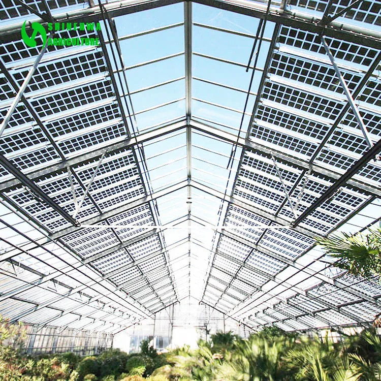 Intelligent Photovoltaic Solar Green House Multispan Agricultural