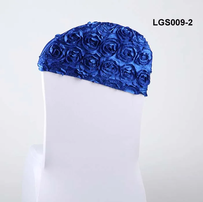 LGS009-2.jpg