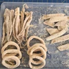 FROZEN TANGYANG BREADED SQUID