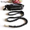 Economical 2.5*130cm polyester running quick release dog leash