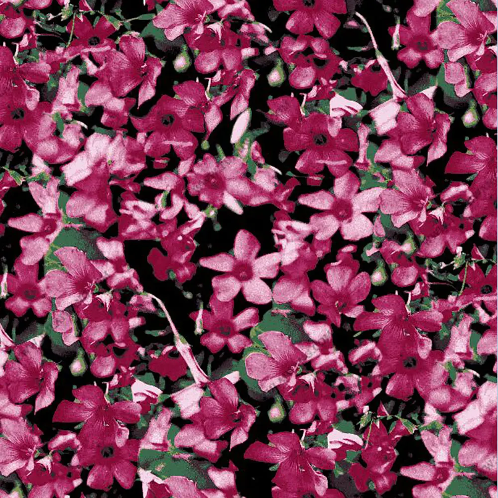 
Custom Design Plain Chiffon Floral Dress Digital Printed Silk Fabric 