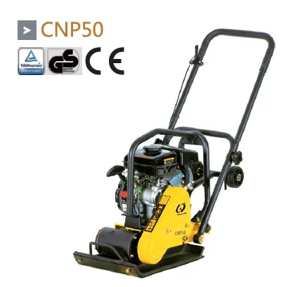 CNP 50.jpg