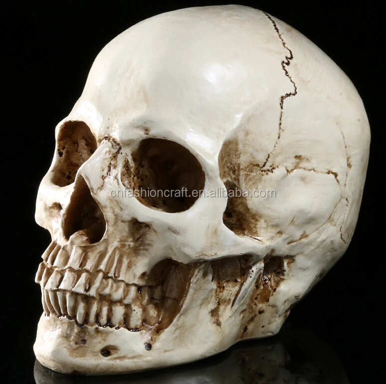 Custom made skulls decorative resin wholesales halloween skulls for crafts