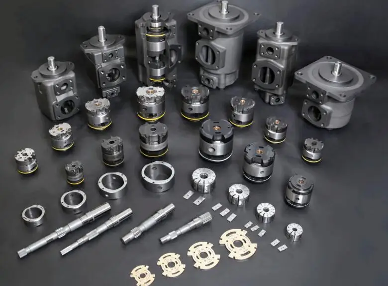 Blince vane pump