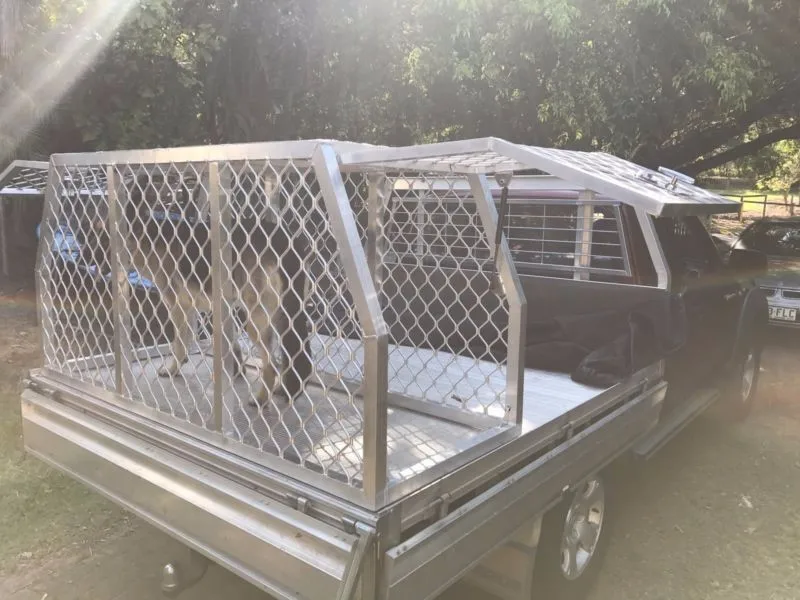 hunting dog cage