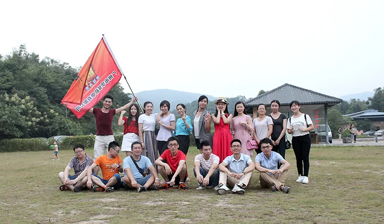 FHSM-208 fur cross stitch zig zag sewing machine price