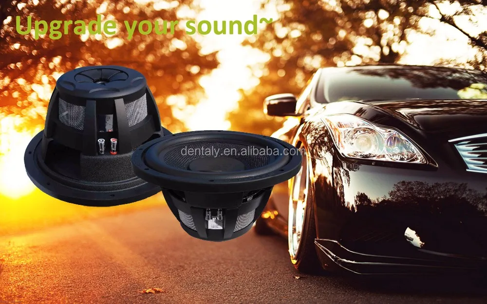 Best Car Audio System Design Manufacturer For Dual 2/4 Ohm Spl Powered