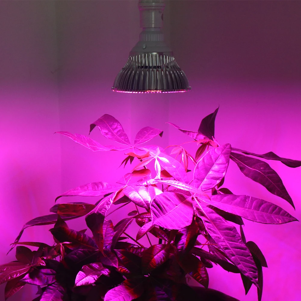 E27 30W 50W 80W Led full spectrum AC85-265V Leds Hydroponic Plant Indoor LED Growth Lamp