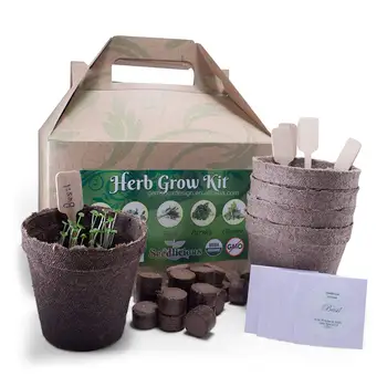 Seed Licious 5 Herb Seed Grow Kit Organic Garden Starter Kit Box