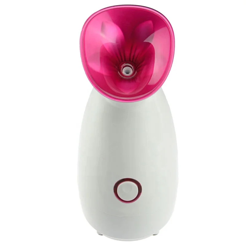 

2021 nano diffuser Hot sale personal home use electric handle hot facial steamer