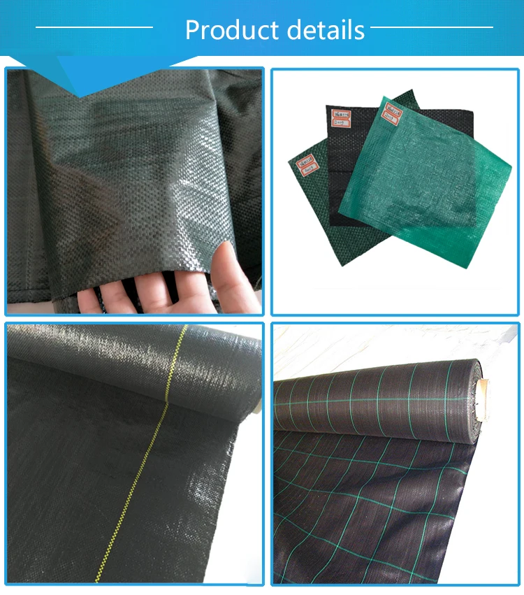 greenhouse anti grass cloth and pp material with black color