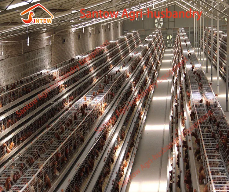Poultry design layer chicken cages 128 layers per set