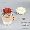 Wholesale hot sell Artificial succulent plants plastic material Meaty plant cactus plant for pot plant