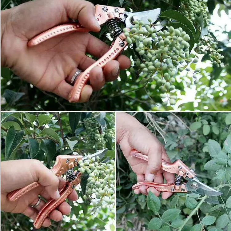 fruit carving picking hand shear cutting tools