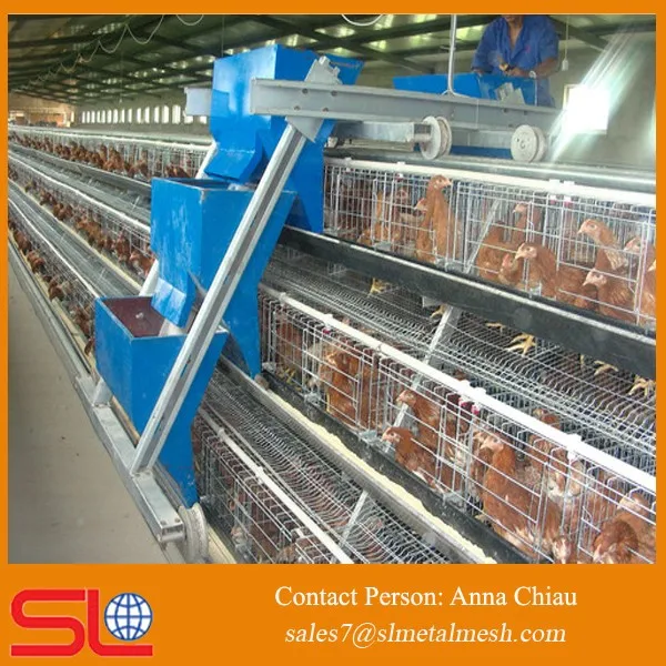 poultry farm automatic chicken door