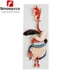 human biological anatomical structure digestive system model in medical sciense