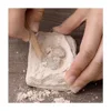 Yase shell fossils toy creative thinking digging by hand necessary for children learning brain development tools Shell fossils