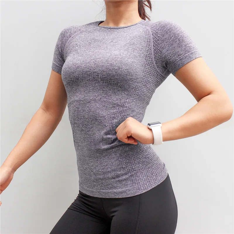 Wholesale sublimation seamless dry fit lady gym wear top women sport t shirt