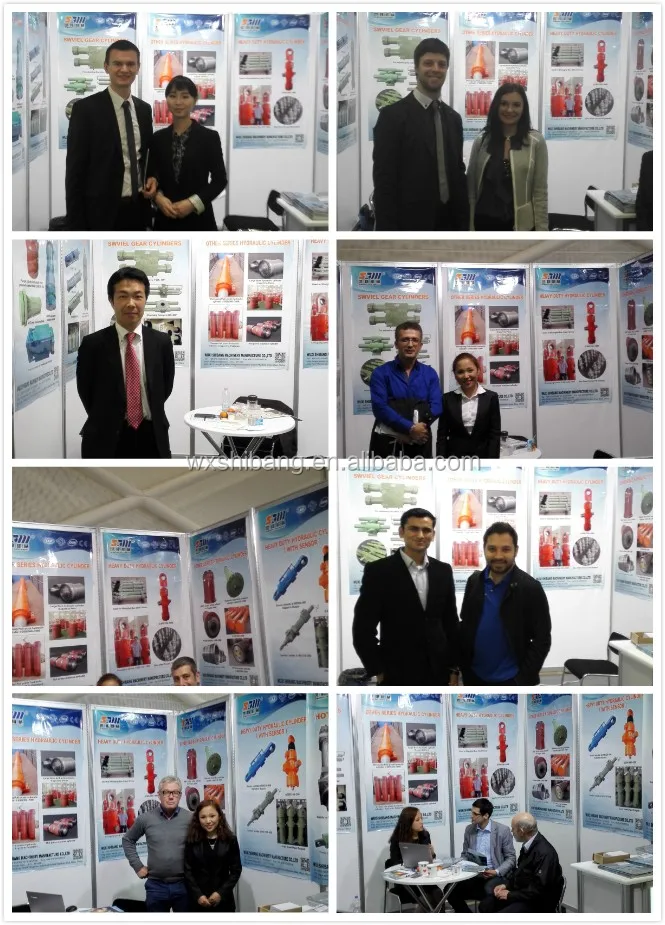 High Quality Hydraulic Cylinder For Wood Splitting Machine